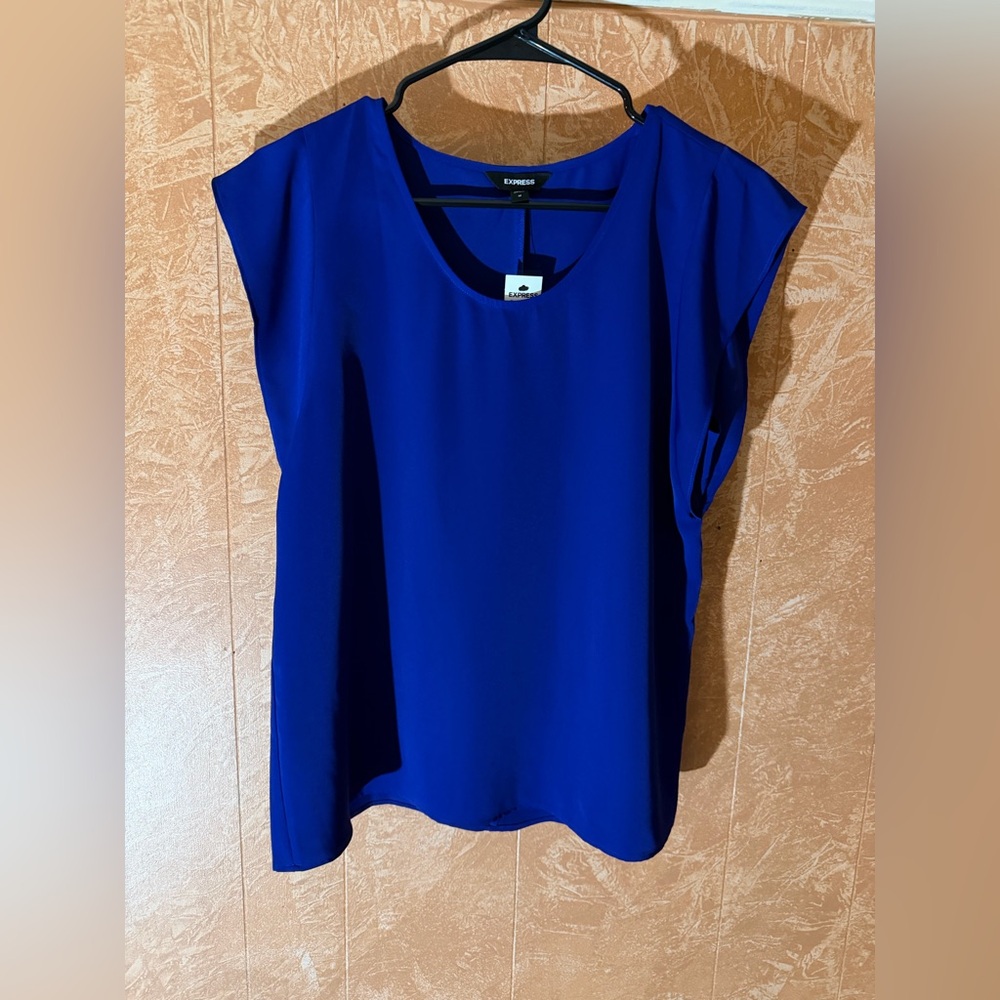 Express Women's Royal Blue Blouse